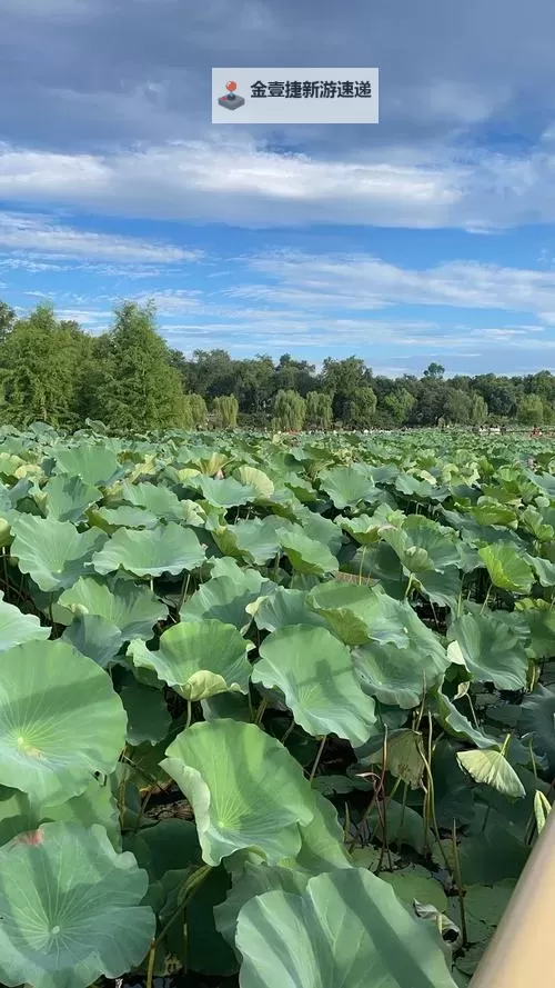 荣耀战国双开神器 轻松一键搞定荣耀战国挂机双开图1