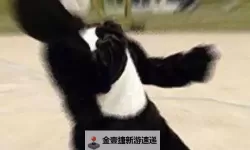 最新海豚音搞笑骂人：耳朵笑炸的网络梗大赏